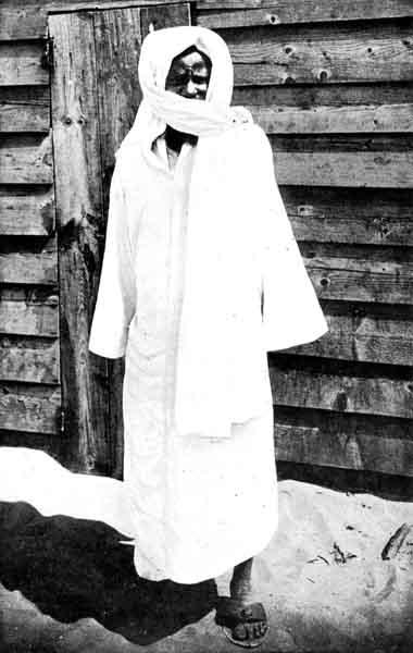 cheikh  ahmadou bamba